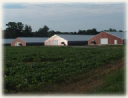 Mountaire Farms